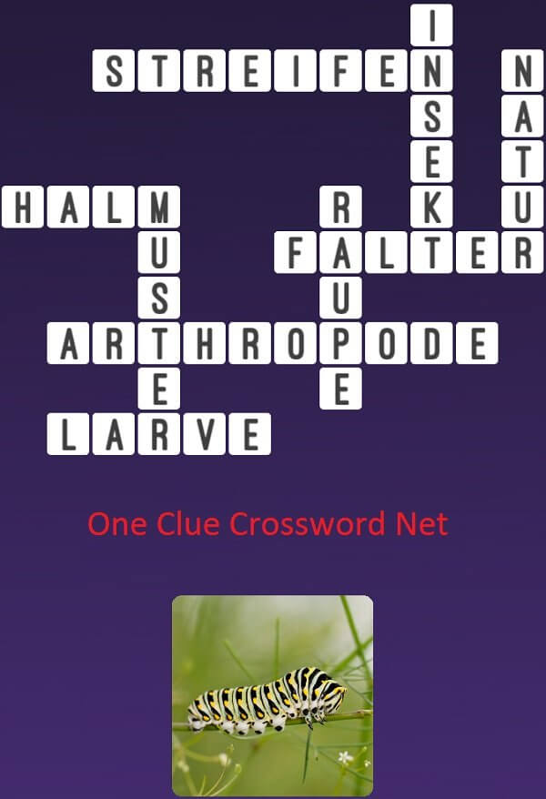 One Clue Crossword Raupe Antworten