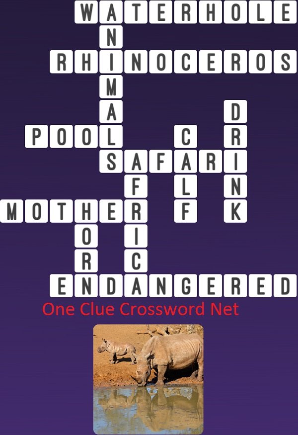 One Clue Crossword Rhinocero Answer