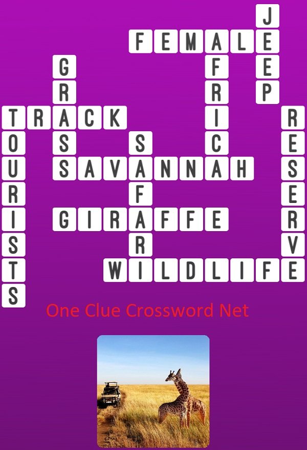 Safari - Get Answers for One Clue Crossword Now
