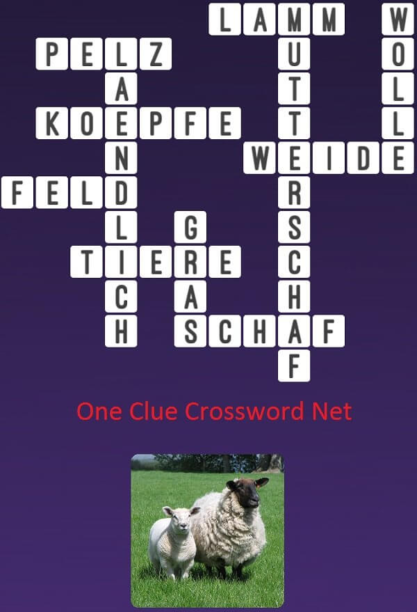 One Clue Crossword Schaf Antworten
