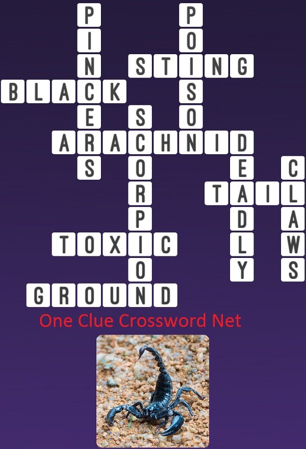 One Clue Crossword Scorpion Answer