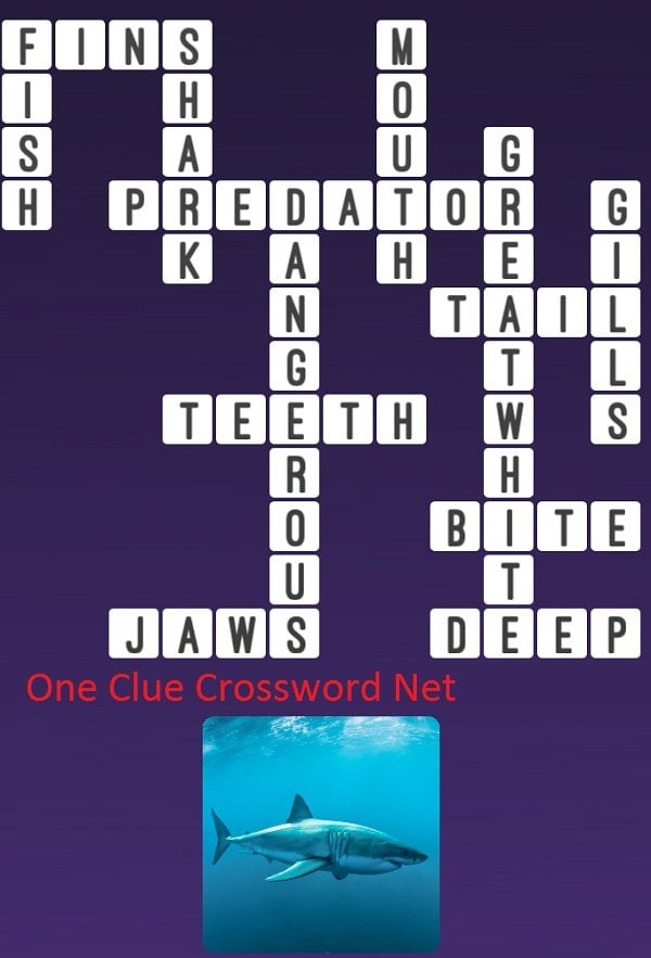 One Clue Crossword Shark Answer