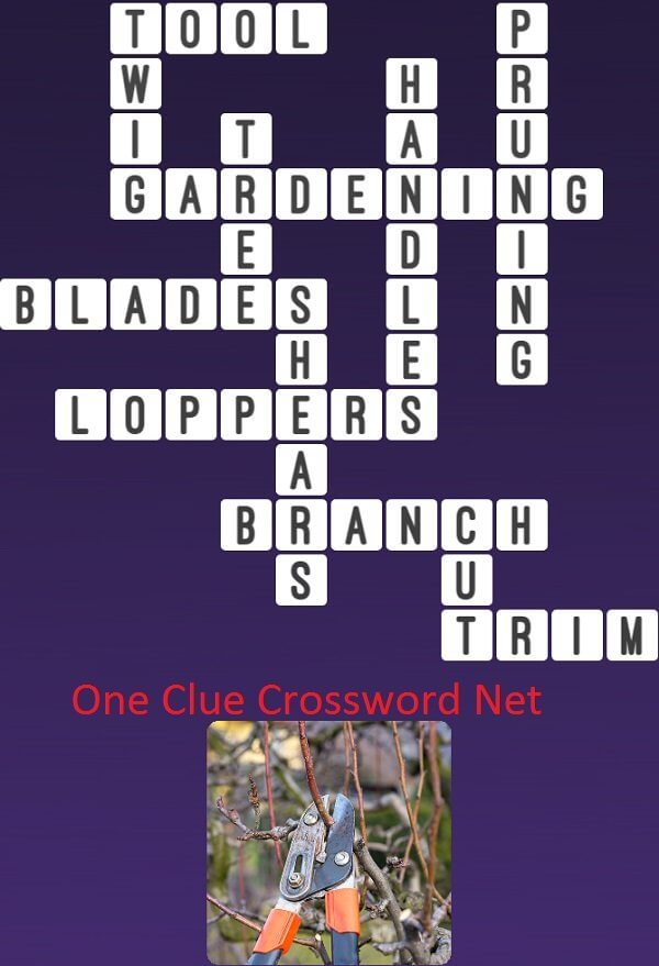 Shears - Get Answers for One Clue Crossword Now