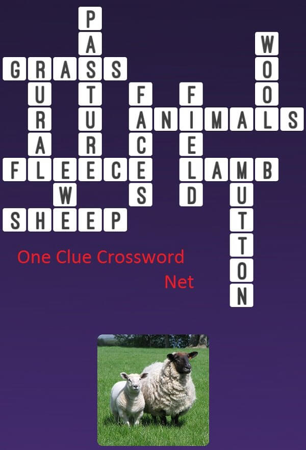 One Clue Crossword Sheep Answer