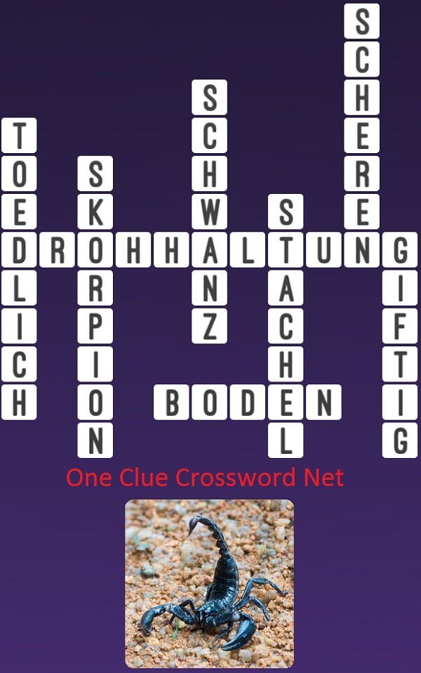 One-Clue-Crossword-Skorpion-Antworten