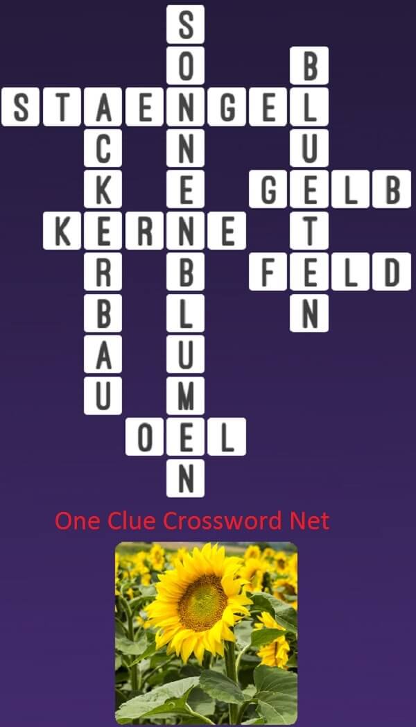 One Clue Crossword Sonnenblumen Antworten