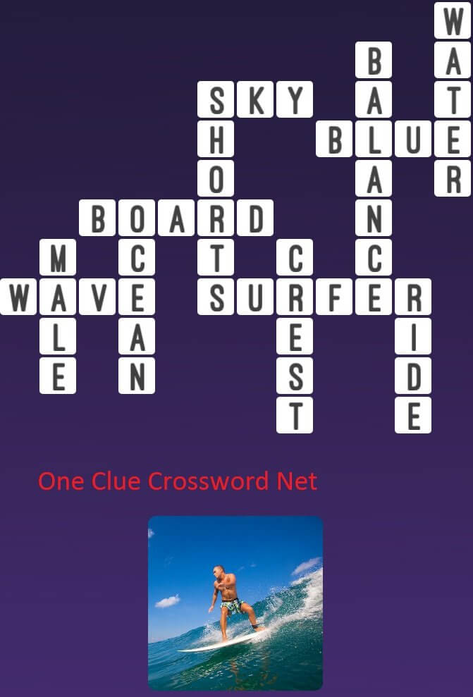One Clue Crossword Surfer Answer
