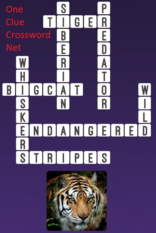 Tiger One Clue Crossword