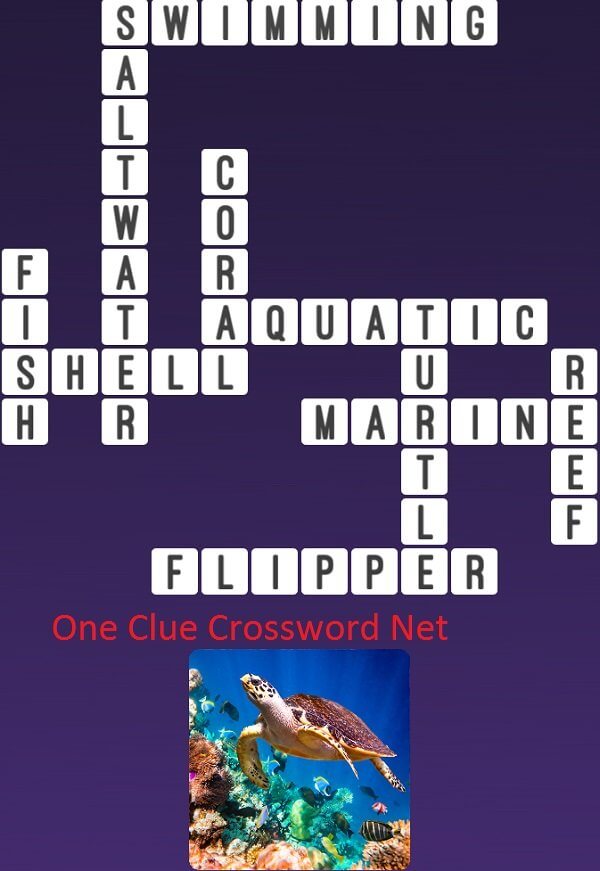 Turtle One Clue Crossword