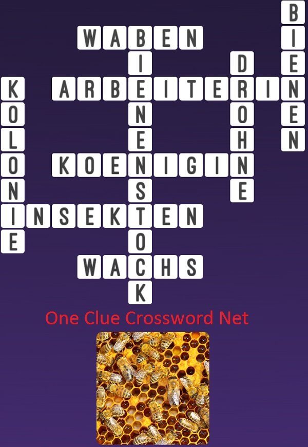 One Clue Crossword Waben Antworten