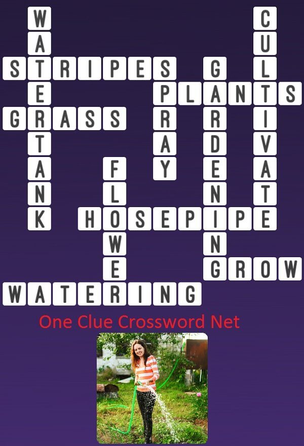 One Clue Crossword Watering Answer